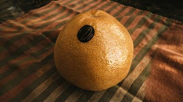 Editorial illustration for Which Pomelo to Buy: Matching Thongdi, Kao Phuang, and Melogold to Your Recipe